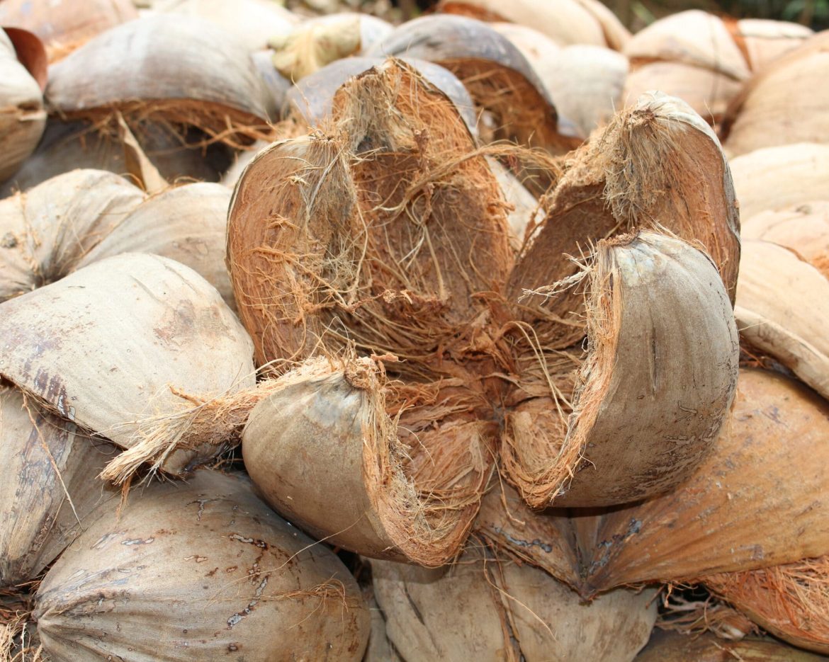 AdobeStock_132335473-scaled